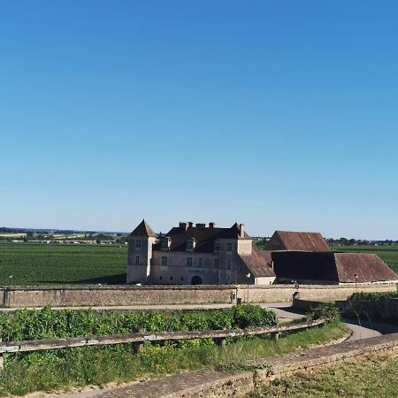 Appt Proche Des Vignes Apartment Perrigny-les-Dijon Ngoại thất bức ảnh